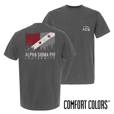 Fraternity grey short sleeve tee with colorful flag design on back and chest pocket log